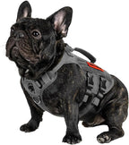 OneTigris Tactical Dog Harness for Small Dogs, No Pull Small Dog Vest Harness with Handles Breathable Military Dogs Molle Vests, Harness for Walking Hiking Training (Grey, XS)
