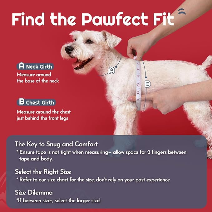 Eagloo Small Dog Harness and Leash Set, Step in Puppy Vest with Breathable Soft Mesh, Walking Reflective Pet Harness for Small Dogs, Red, S