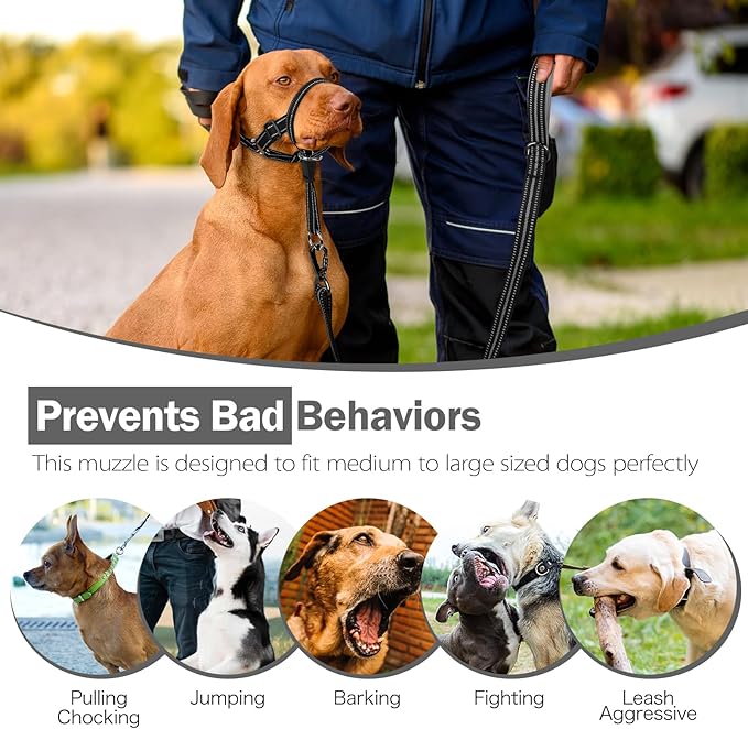 Weesiber No-Pull Dog Head Halter - Adjustable Dog Muzzle Leash, Padded Head Collar for Dogs to Prevent Heavy Pulling On The Leash(Black,L)