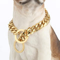 Dog Chain Collar 18K Gold High Polished Stainless Steel Cuban Link Strong Heavy Duty Chew Proof Walking Training Chain Leash Collar for Small Dogs(19mm, 16")