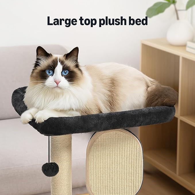 Amazon Basics Single-Platform Cat Tree with Scratching Post and Pad for Indoor Cats, 15.7 x 11.8 x 18.5'', Gray
