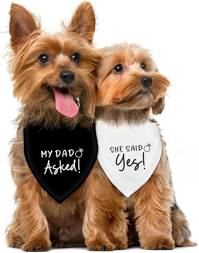 Dog Wedding Engagement Bandana Apparel & Accessories Pet Dog Scarf Photo Prop My DAD Asked! SHE Said Yes! Wedding Outfit Funny Engagement Party Decorations Gifts (Black+White)