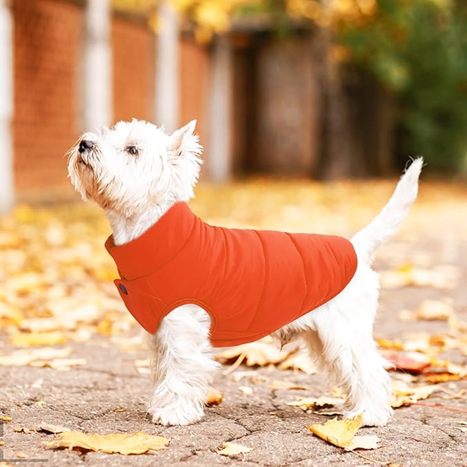 ASENKU Dog Winter Coat - Waterproof Windproof Dog Jacket, Warm Snowproof Doggie Puffer Vest for Cold Weather, Lightweight Snow Coats for Small Medium Large Dogs (Orange, L)