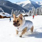 Fleece Hoodie, Windproof Waterproof Coat, Winter Warm Jacket, Cold Weather Pet Apparel Clothes Vest for Small Medium Large Dogs (M, Silver)