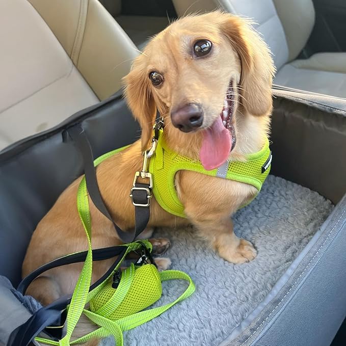 Best Pet Supplies Voyager Step-in Air All Weather Mesh Harness and Reflective Dog 5 ft Leash Combo with Neoprene Handle, for Small, Medium and Large Breed Puppies - Set (Lime Green), XL