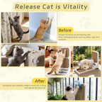 Cat Scratcher Cat Scratch Pad L Shape Wall Mounted Dual Use (Vert/Horiz) Kitten Bunifa Scratching Card Board Vertical Post with Ball Toys Feathers,Protecting Furniture Core is Replaceable Large White