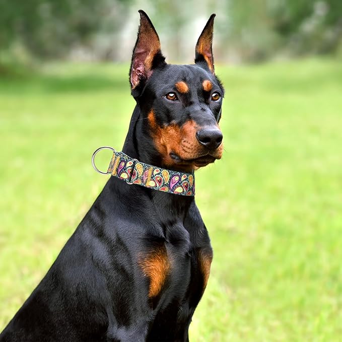 Martingale Dog Collar 1.5 Inch Wide - Heavy Duty Adjustable No-Pull Training Collar for Medium/Large Dogs, Cashew Flower Design Durable Nylon Collar (Large)