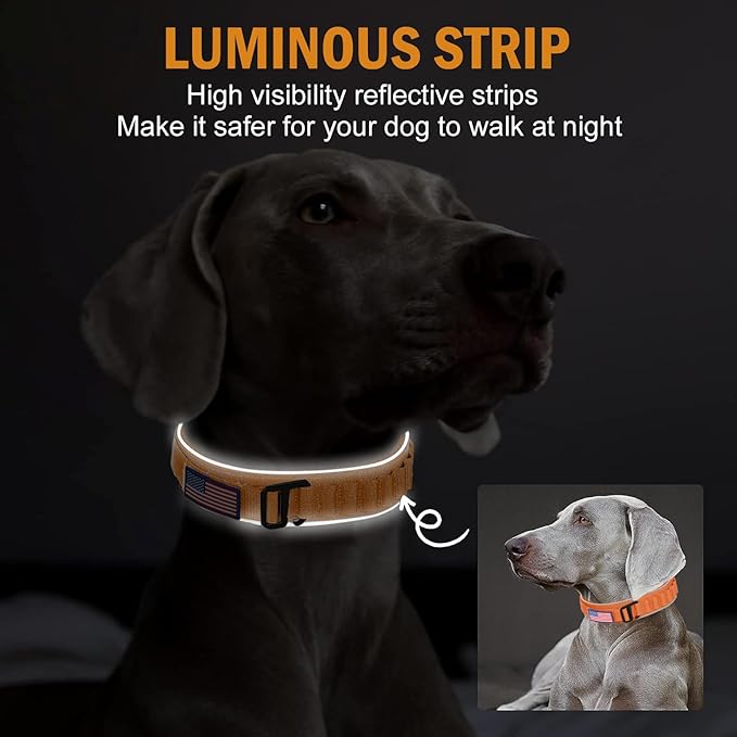 HYDEME Tactical Dog Collar, Alpine Loop Adjustable Military Training Nylon Dog Collars with Handle and Reflective for Small Medium Large Dogs, with Airtags Protective Case & Patches.(M,Orange)