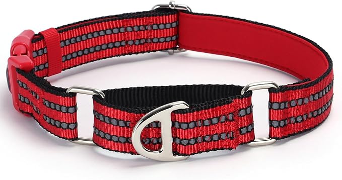 Martingale Collar for Dogs - Reflective Nylon with Padded Comfort & Quick Release Buckle - No Slip Choke Heavy Duty Collar for Safe Training, Walking & Nighttime Use Red S