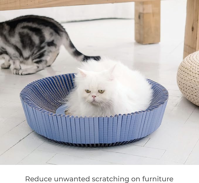 Nest Cat Scratcher Lounge Bed - for Rubbing, Resting, and Scratching (Assembled Bundle, Nordic Blue)