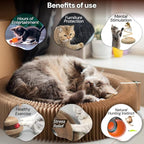 Kitty Kurlz Cat Toy - Interactive Cat Scratcher Set with Flexible Cardboard Accordion, Plush Mouse & Magic Organ Toy - 3-Pack Entertainment Bundle for Indoor Cats
