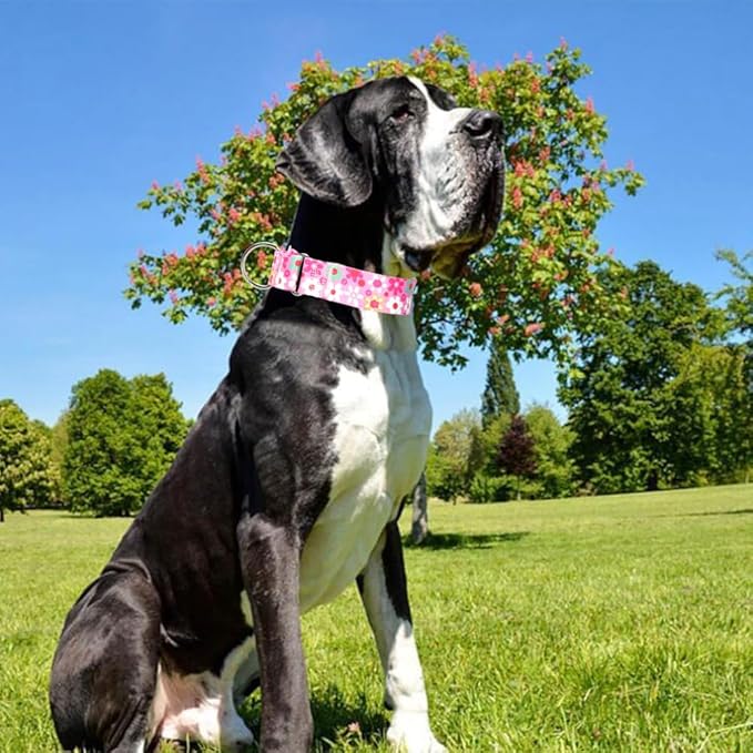 Wide Pink Martingale Collar for Dogs,1.5 Inches Martingale Collar with Flowers Pattern,No Slip Dog Collar Perfect for Training,Walking, Hunting(Pink Flowers M)