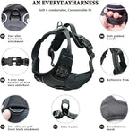 No Pull Dog Harness, Reflective Comfortable Vest Harness with Front & Back Easy Control Handle Adjustable Soft Padded Pet Vest for Small to Large Dogs(Pink,M)