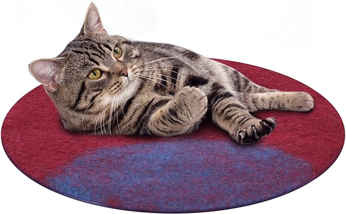 Cat Bed Mat Natural Merino Wool Cozy Large Carpet Pad for Pet Cats Kitty Small Dog House Warm Organic Sheep Wool Scratch Floor Mats Rug Bedding (Aqua Red, Large)