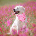 ADOGGYGO Valentine Dog Bandana, Heart and Love Pet Scarf, Premium Durable Fabric, Red Pink Valentine Bandanas for Medium Large Dogs (Large)