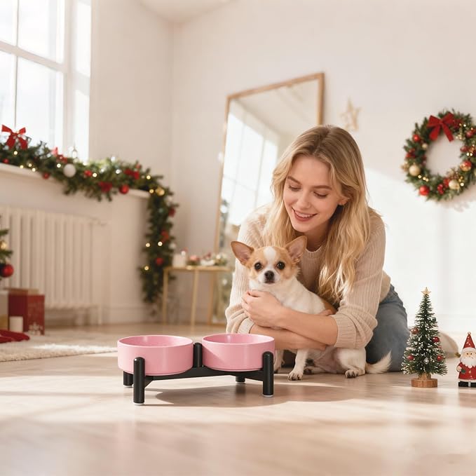 Raised Ceramic Dog Bowl Set - Elevated Double Dishes with Stainless Steel Stand - Food and Water Bowls for Small Dogs and Indoor Cats - Each Holds 1.6 Cups (10.8 fl oz) - Pink