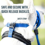 GoodBoy Dog Head Halter with Safety Strap - Stops Heavy Pulling On The Leash - Padded Headcollar for Small Medium and Large Dog Sizes - Head Collar Training Guide Included (Size 2, Blue Nylon)