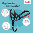 Halti Headcollar - Stop Your Dog Pulling on the Leash. Adjustable, Reflective and Lightweight, with Padded Nose Band. Dog Training Anti-Pull Collar for Large Dogs (Size 5, Black)