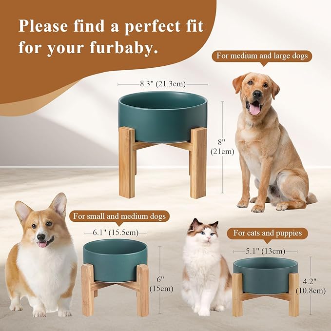 Raised Ceramic Cat Bowl - Cat Food Bowl with Bamboo Stand - Elevated Dog Food Dish for Puppies - Comfort Eating - 13.5 oz - 400 ml - Green