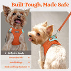 rabbitgoo Dog Harness Medium Sized and Leash Set, Step in Soft Light Puppy Vest, Breathable Mesh Pet Harness, Reflective for Safe Easy Walking, Orange XXL