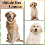 Metal Diamond Dog Chain Dog Training Chain with Secure Buckle Pet Collars for Large Medium Dogs