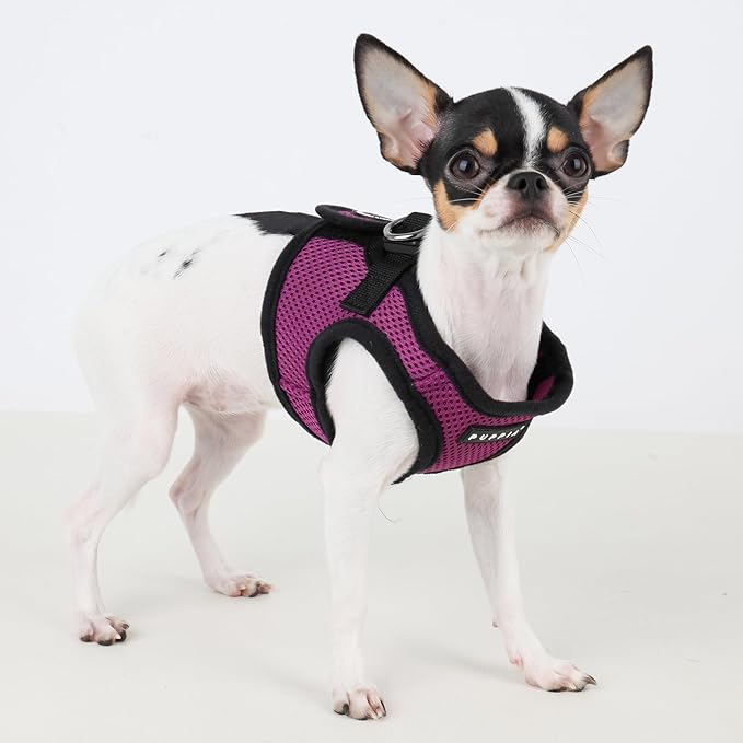 PUPPIA International Harness Soft B Vest, Medium, Purple