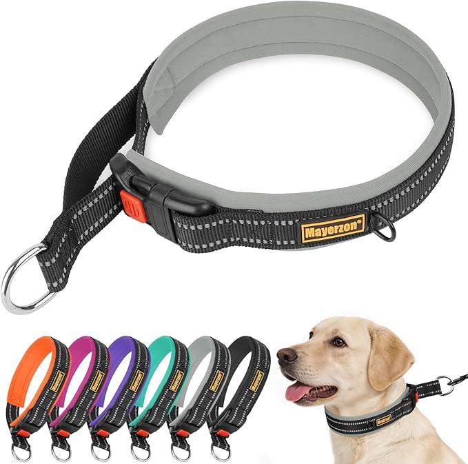 Mayerzon 1.5" Wide Martingale Collar for Large Medium Small Dogs Pitbull German Shepherd, No Pull Reflective Slip Martingale Dog Collar with Buckle Soft Padded for Walking Training(Seattle Haze, M)