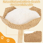 Modern Cat Tree, Natural Pear Wooden Cat Tower for Indoor Cats, Real Branch Luxury Cat Condo with Scratching Post & Hanging Toy Ball（35" Tall）