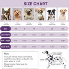 Queenmore Waterproof Dog Coat for Small Dogs,Reflective Windproof Dog Jackets with Leash Hole,Winter Dogs Coat with Zipper On Back,Warm Snowsuit with Fleece Lining（Purple,S