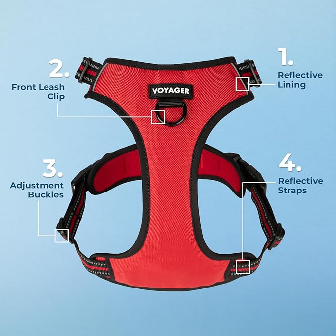 Voyager Dog Harness Dual Leash Attachment No-Pull Control Adjustable Soft but Strong Pet Harness for Medium and Large Dogs with 3M Reflective Technology, Red Lattice Nylon, L (Chest: 25-30")