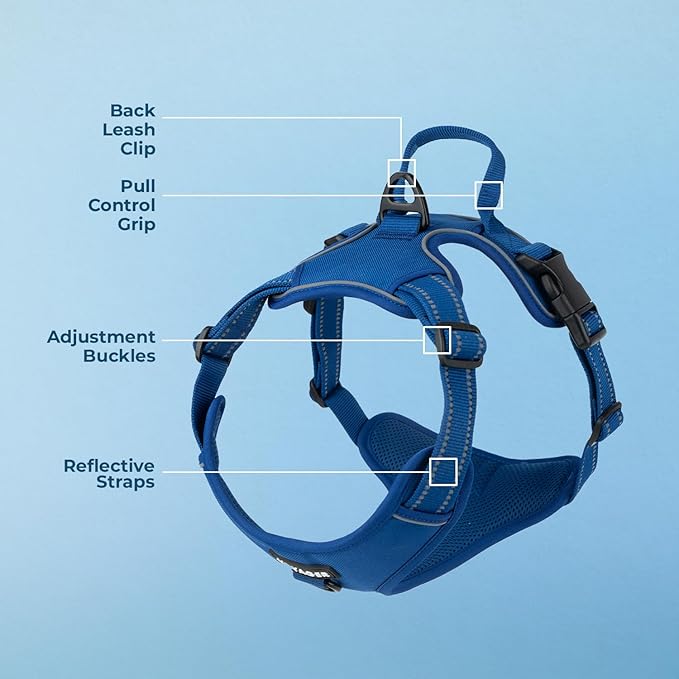 Voyager Dog Harness Dual Leash Attachment No-Pull Control Adjustable Soft but Strong Pet Harness for Medium and Large Dogs with 3M Reflective Technology, Royal Blue Lattice Nylon, L (Chest: 25-30")