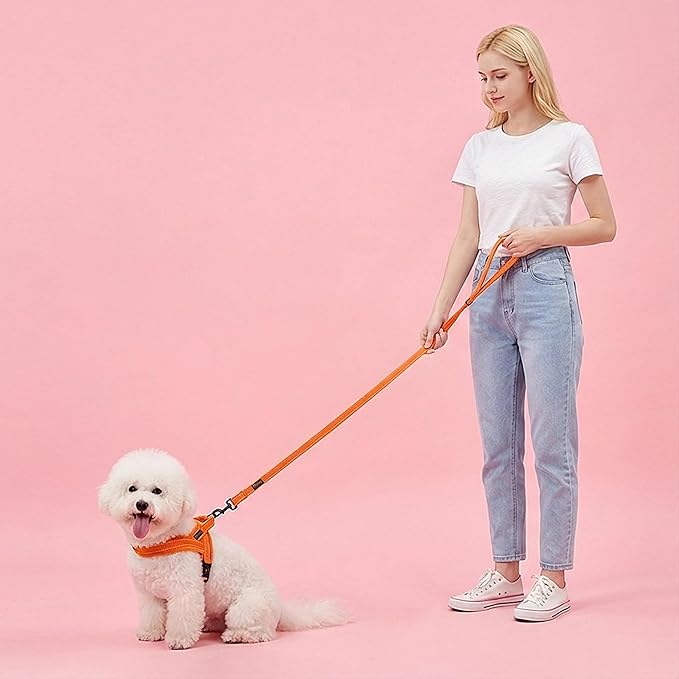 Didog Soft Flannel Padded Dog Vest Harness, No Pull/Quick Fit Reflective Dog Strap Harness, Easy for Training Walking (S:Chest 18-22", Orange)