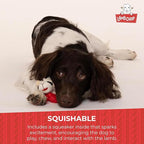 Multipet Lamb Chop Dog Plush Toy - Squeaky Toy for All Dogs - Extra Soft Plush - Stuffed Animal Dog-Toy for Cuddling & Playing - Cute Pet-Toy (6",Cream),(Pack of 2)