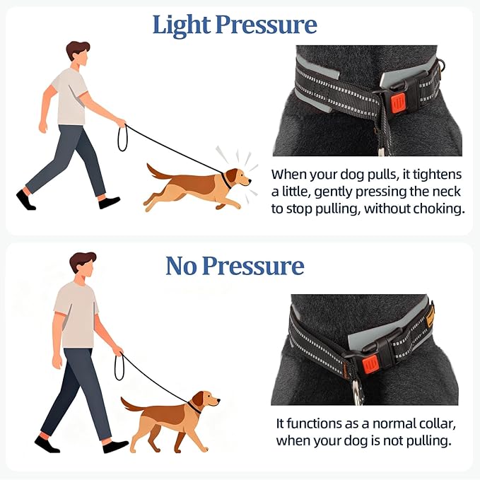 Mayerzon 1.5" Wide Martingale Collar for Large Medium Small Dogs Pitbull German Shepherd, No Pull Reflective Slip & Martingale Dog Collar with Buckle Soft Padded for Walking Training(Seattle Haze, XL)