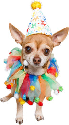 Pet Krewe Dog Clown Costume Happy Birthday Hat & Collar Outfit | 1st Bday Party, National Cat Day, Photo Shoots & Celebrations | Doggie & Puppy Clothes | Ideal Gift for Small, Medium & Large Pets