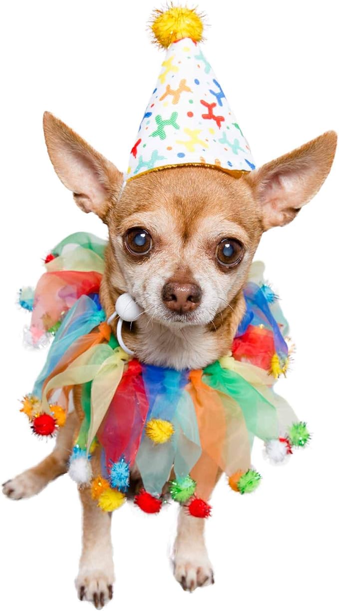 Pet Krewe Dog Clown Costume Happy Birthday Hat & Collar Outfit | 1st Bday Party, National Cat Day, Photo Shoots & Celebrations | Doggie & Puppy Clothes | Ideal Gift for Small, Medium & Large Pets