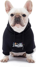Blooming Teddy Dog Hoodie Dog Clothes Extra Warm Fleece Lining Stretchy Fit for Small Dogs (Black, Medium)