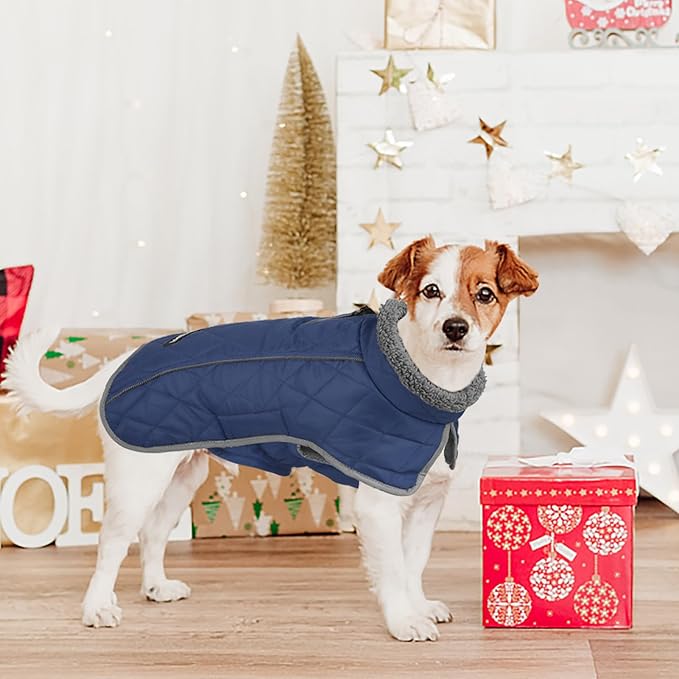 Fragralley Dog Coat Small, Waterproof Dog Jacket with Warm Fleece Lining, Adjustable Reflective Dogs Winter Coat, Turtleneck Pet Coats for Cold Weather (Blue S)