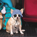 Jadive X-Small Dog Sun Hat with Ear Holes, Dog Cat Sunglasses with Anti-Slip Silicone Rope Baseball Cap Adjustable Puppy Sunbonnet Headdress Beach Visor Hat for Puppies Summer Outdoor(Blue)
