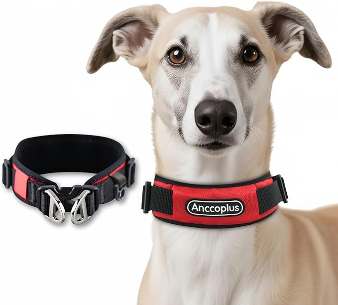 Comfort Fit Dog Collar, Anti-Choke Neck Safe Dog Training Collar, Wide Padded, Breathable, Adjustable with Dual D-Rings, Soft Cushion Neck Protector for Dogs (S, Red)