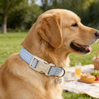 ARING PET Stripe Dog Collar, Cute Spring Summer Blue Stripe Pet Collars with Bow Charm for Puppy Small Medium Large Boy Girl Dogs-XS, for Daily Outdoor Walking Training