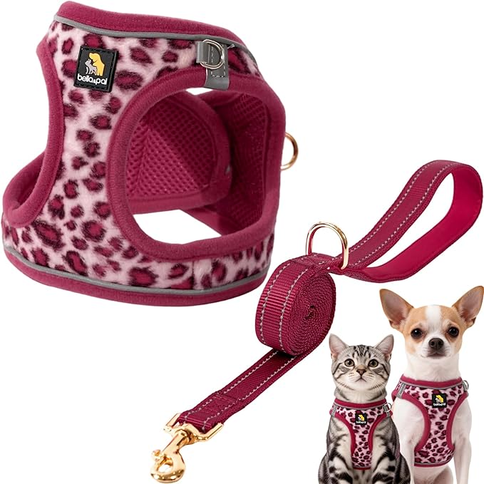 BELLA & PAL Step in Vest Harness for Small and Medium Dogs, No Pull Small Dog Harness with Leash Set, Comfortable Air Mesh Dog Vest Harness with Reflective Strip (Pink Leopard, XXS)