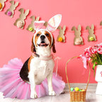 2 Pcs Dog Crown Headband Dog Tutu Dress Set Crystal Rhinestone Tiara Crown Tutu Skirt Pet Dress Costume for Puppy Birthday Party Wedding Photo Prop Costume(Medium,Rose Red, White)