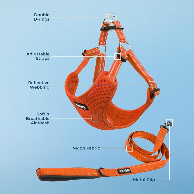 Best Pet Supplies Voyager Adjustable Step-in Flex Breathable Mesh Dog Harness for Small Medium Large Dogs Leash Set (Orange), XS