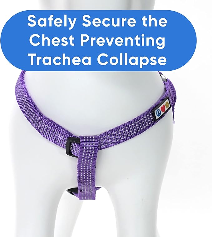 Pawtitas Reflective Step-in Dog Harness – Adjustable No-Pull Vest for Puppies to Seniors, Safe & Comfortable, M Purple