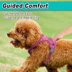 BARKBAY Dog Harness No Pull Mesh for Small Dogs - Adjustable, Reflective, Comfortable, No Choke, Heavy-Duty - Perfect for Outdoor Training, Walking, and Hiking - Strong & Durable - XS & Pink Mesh