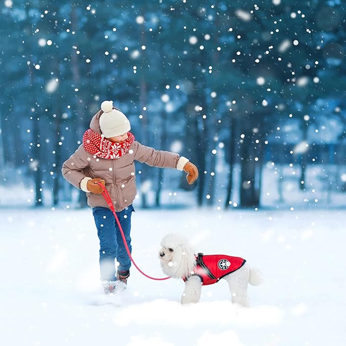 Warm Dog Winter Coat, Fashion Sports Dog Cold Weather Jacket with Built-in Harness, Reflective & Adjustable Comfortable Pet Vest, Windproof Apparel for Small Medium Large Dogs (Red)