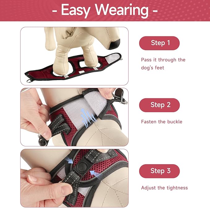 Dog Harness for Small Dogs and Leash Set, Honeycomb Grid, Reflective Lightweight Harness & Anti-Twist Pet Lead Multi Color, Size: XS-S-M. (M, Deep Purple)
