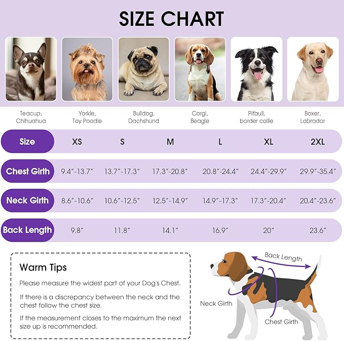 Queenmore Dog Winter Coat, Cold Weather Fleece Jacket for Dogs, Waterproof Reflective Reversible, for Small, Medium and Large Dogs (Purple, S)