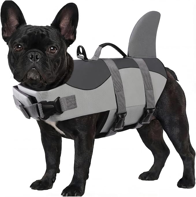 ASENKU Dog Life Jacket - Pet Safety Vest for Swimming & Boating, Shark Life Jacket with Floatation, Dog Lifesavers Swimsuits for Small Medium Large Dogs (Grey, M)
